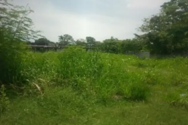 Terreno en venta en PEMEX, Macuspana — foto 3 de 3