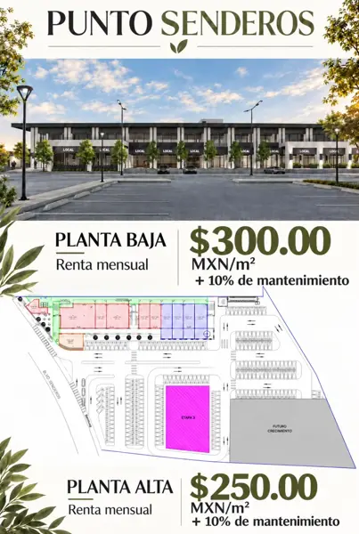 Locales Comerciales en Renta Punto Senderos
