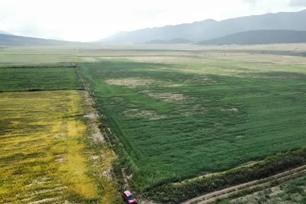 Terreno en venta en San Antonio de las Alazanas, Arteaga — foto 2 de 14