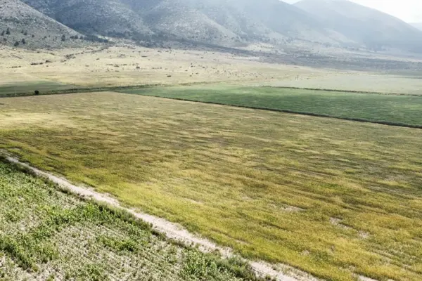 Terreno en venta en San Antonio de las Alazanas, Arteaga — foto 3 de 14