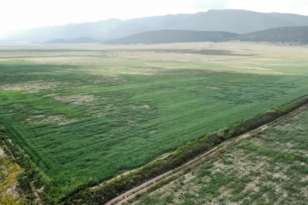Terreno de 19.08 Hectáreas en Venta | Cerca de San Antonio de las Alazanas — foto 1 de 14