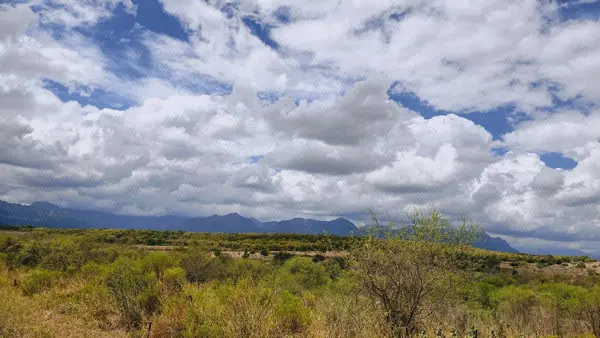 Terreno en venta en Gral. Escobedo, Montemorelos — foto 3 de 8