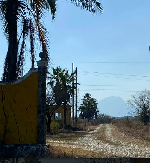 Terreno en venta en Huertas Estación, Montemorelos — foto 3 de 11