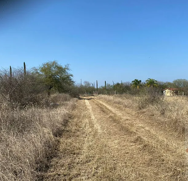 Terreno en venta en Huertas Estación, Montemorelos — foto 2 de 11