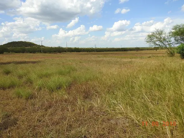 Terreno Campestre en Venta en Montemorelos (praderas de la Purisima) — foto 1 de 11