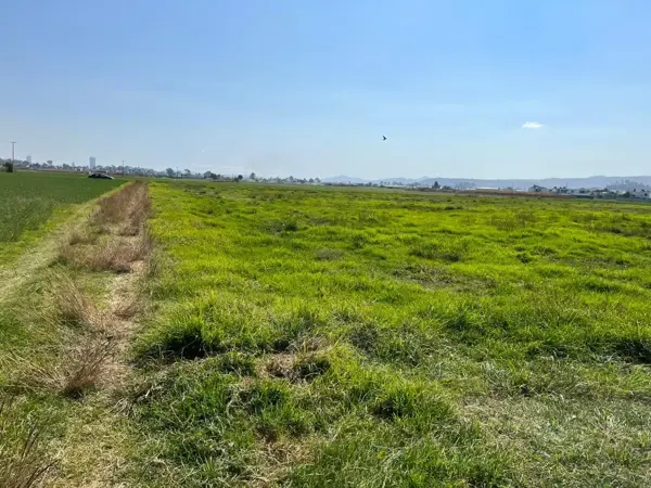 Terreno en venta en Chipilo de Francisco Javier Mina, San Gregorio Atzompa — foto 2 de 5