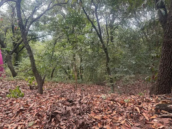 Terreno en venta en Olinala, San Pedro Garza García — foto 2 de 8