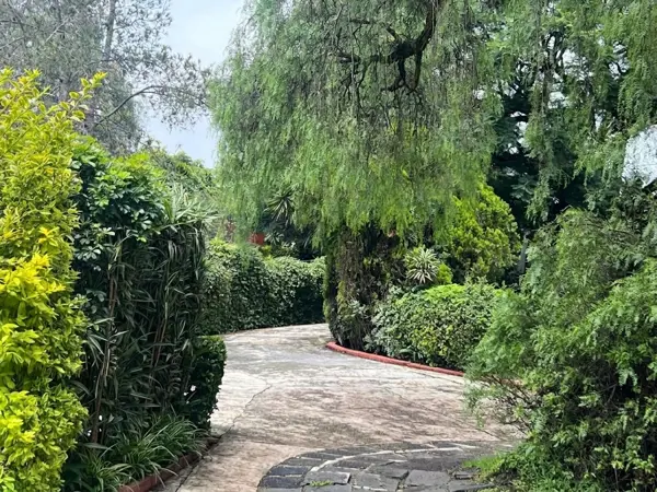 Casa en renta en San Jeronimo Lidice, La Magdalena Contreras — foto 2 de 23