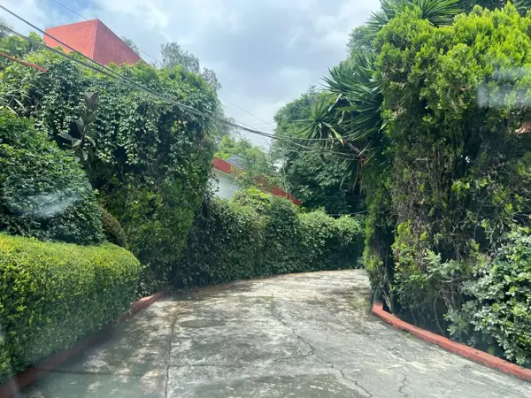 Casa en renta en San Jeronimo Lidice, La Magdalena Contreras — foto 3 de 23