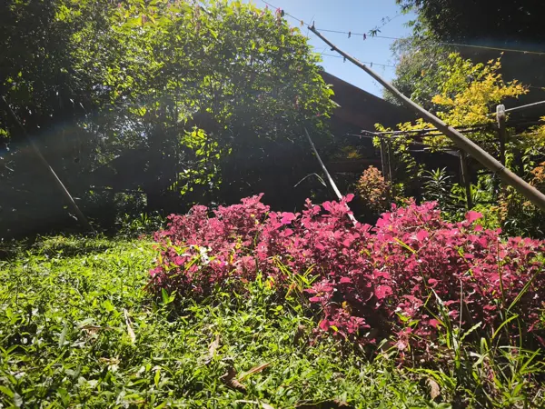 Finca-Rancho en venta en El Pedregal, Coatepec — foto 2 de 30