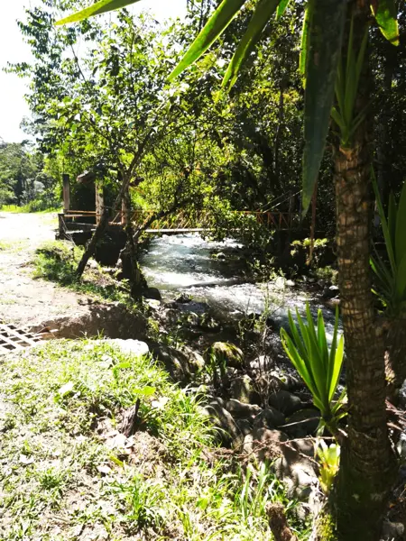 Finca-Rancho en venta en El Pedregal, Coatepec — foto 3 de 30