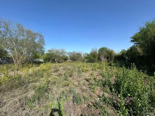 Terreno en venta en Congregación Calles, Montemorelos — foto 3 de 16