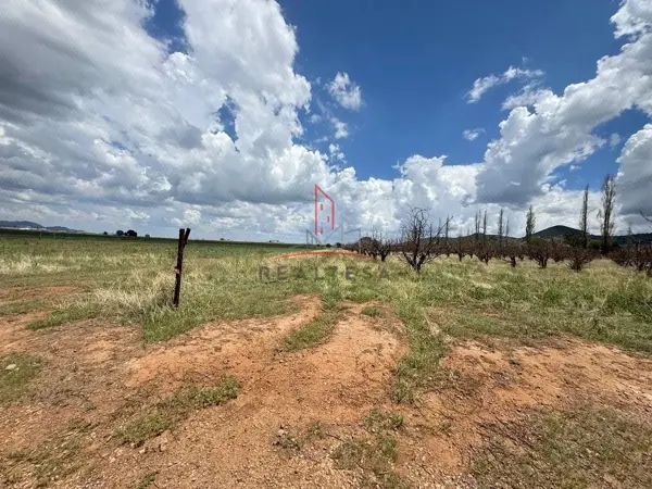 Terreno en venta en Los Trigales, Cuauhtémoc — foto 2 de 5