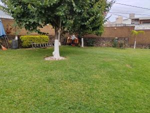 ¡¡ Casa Renta de una planta con amplio Jardin !! — foto 1 de 22