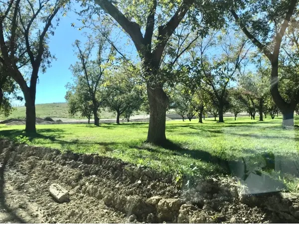 Terreno en venta en Parras, Parras — foto 2 de 9