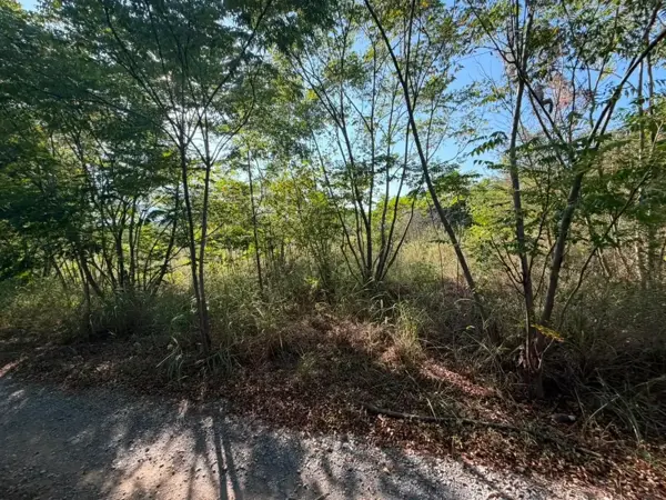 Terreno en venta en Yerbaniz, Santiago — foto 3 de 8
