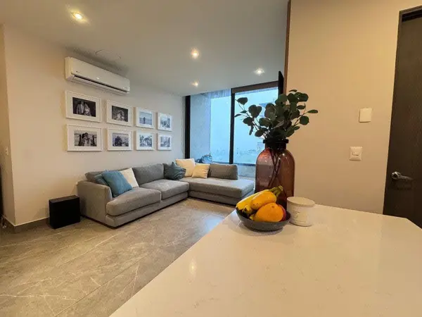Departamento en venta en Vía Cordillera, Santa Catarina — foto 3 de 24