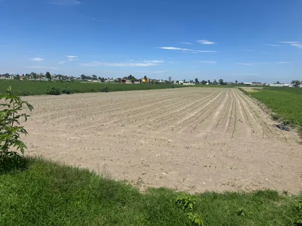 Venta de Terreno en Santa María Tonantzintla — foto 1 de 3