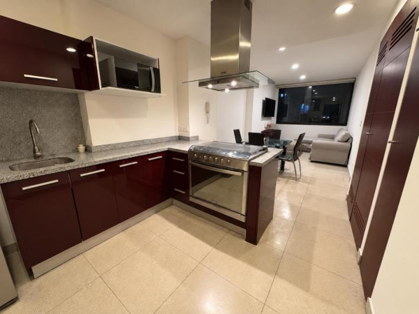 Departamento en Renta en Polanco, Ciudad de México - Ideal Ubicación y Comodidades — foto 1 de 20