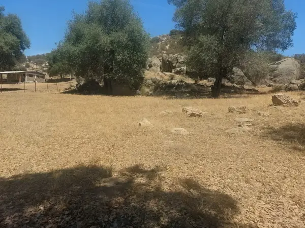 Terreno en venta en Rancho Las Juntas — foto 1 de 6
