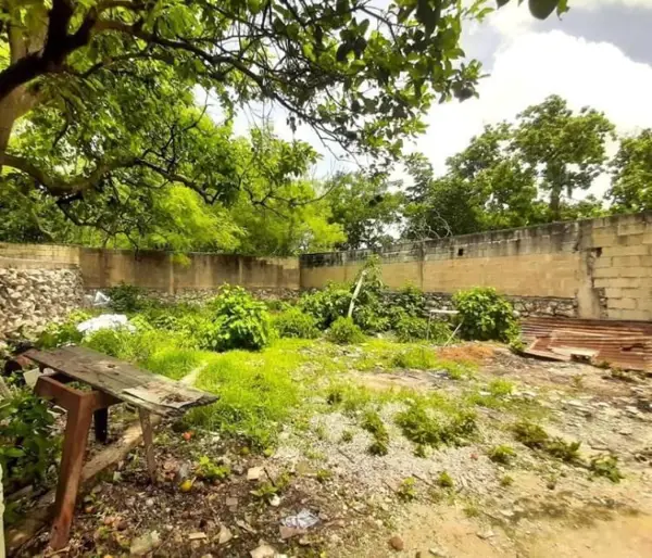 Casa en venta en Merida Centro, Mérida — foto 2 de 11