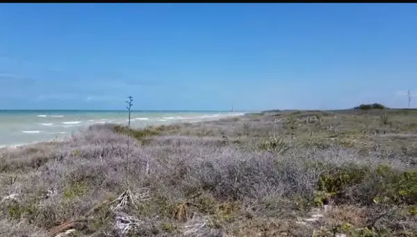 Terreno en venta en Sisal, Hunucmá — foto 3 de 3