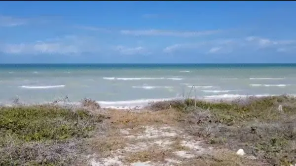 Terreno en Venta Frente al Mar en Sisal Puerto, Yucatán — foto 1 de 3