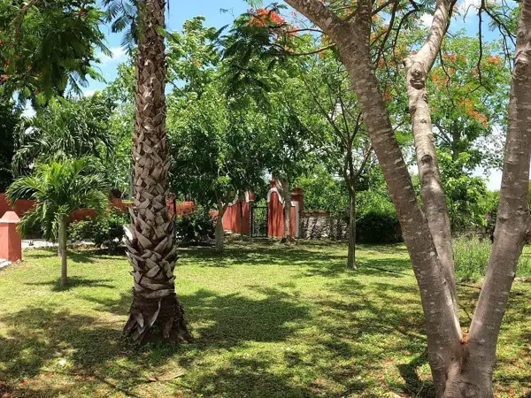 Terreno en venta en Residencial, Motul — foto 2 de 6