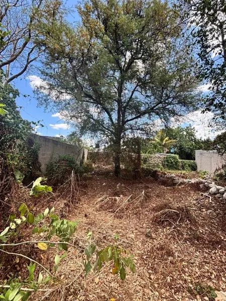 Terreno en Venta Ubicado en el Barrio de San Sebastián — foto 1 de 5