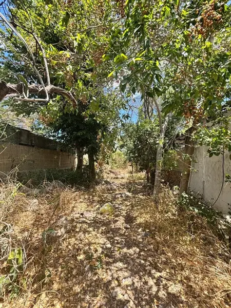 Terreno en venta en Merida Centro, Mérida — foto 3 de 5