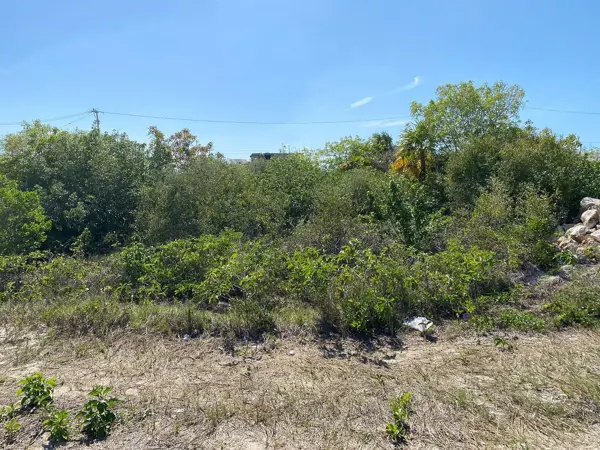 Terreno en venta en San Benito, Dzemul — foto 3 de 5