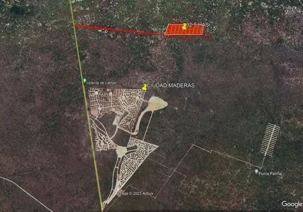 Terreno en venta en Chuburna Puerto, Progreso — foto 2 de 6