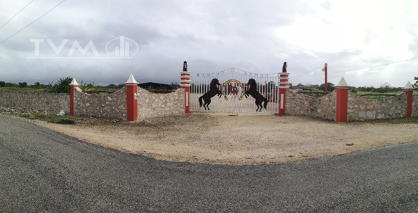 Rancho Ganadero en venta de 17 Has en Dzoncauich, Yuc., a solo 1 hora de Mérida — foto 1 de 10