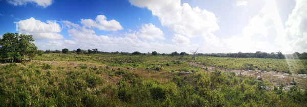 Terreno en venta en Dzoncauich, Dzoncauich — foto 3 de 10