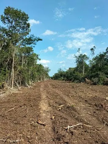 Terreno en venta en Tzucacab Centro, Tzucacab — foto 1 de 6