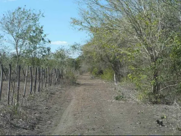 Terreno en venta en Tzucacab Centro, Tzucacab — foto 2 de 6