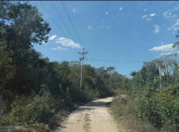 Terreno en Venta en Tzucacab, Yucatan, de 523 Has de extensión — foto 1 de 6