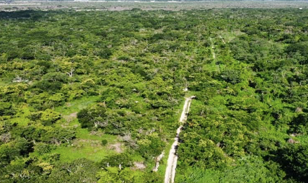 Terreno en venta en Yaxche de Peón, Ucú — foto 3 de 3