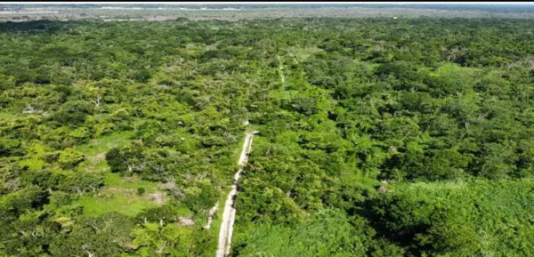 Terreno en venta en Yaxche de Peón, Ucú — foto 2 de 3