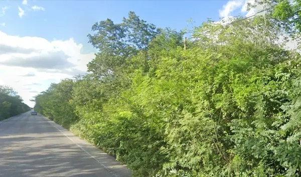 Terreno en venta en Acanceh, Acanceh — foto 3 de 9