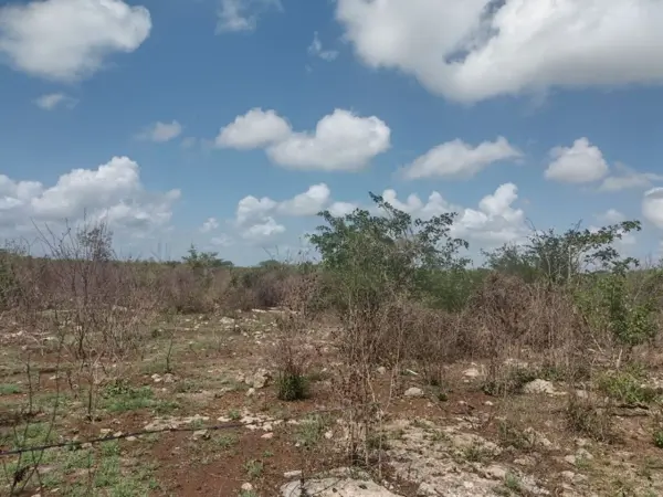 Terreno en venta en Sinanche, Sinanché — foto 1 de 8