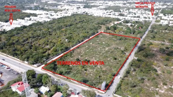 Excelentes Lotes en Venta en Dzitya, Yucatán. — foto 1 de 4