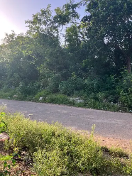 Terreno en venta en Yaxkukul, Yaxkukul — foto 3 de 6