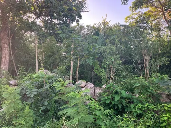 Terreno en venta en Yaxkukul, Yaxkukul — foto 2 de 6