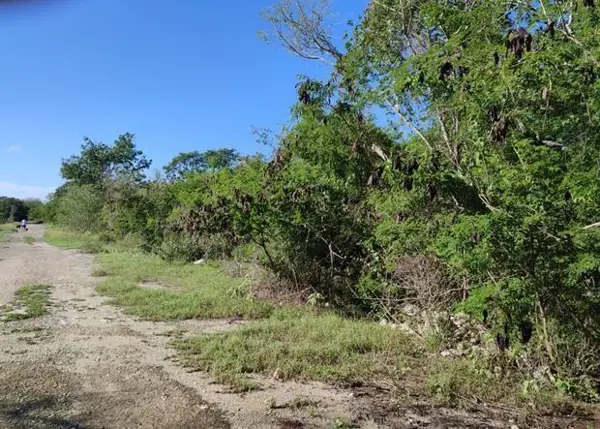 Terreno en venta en Dzibilchaltún, Mérida — foto 3 de 6