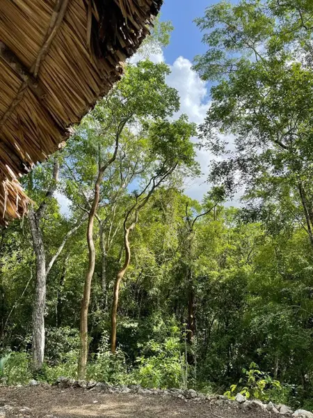 Terreno en venta en Xuxcab, Tekom — foto 3 de 12