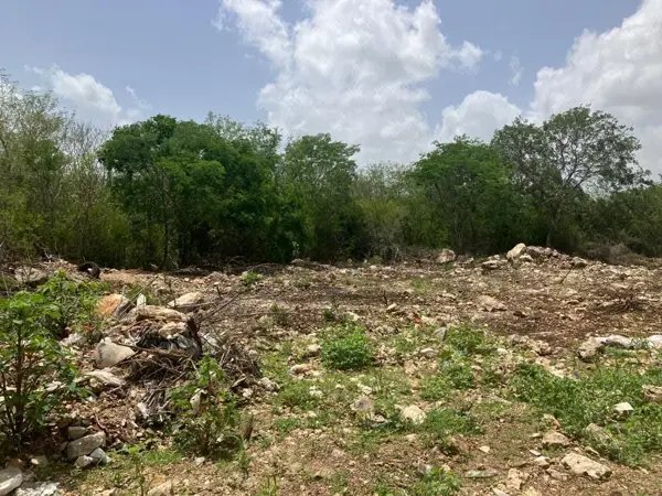 Terreno en venta en Tixcuytun, Mérida — foto 2 de 6