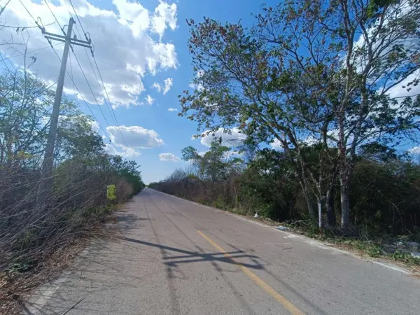 Terreno en Venta de 139 Has en Carretera Uman-poxila, Yucatan. — foto 1 de 6