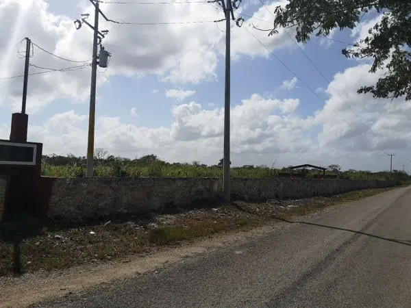 Terreno en venta en Temax, Temax — foto 3 de 13
