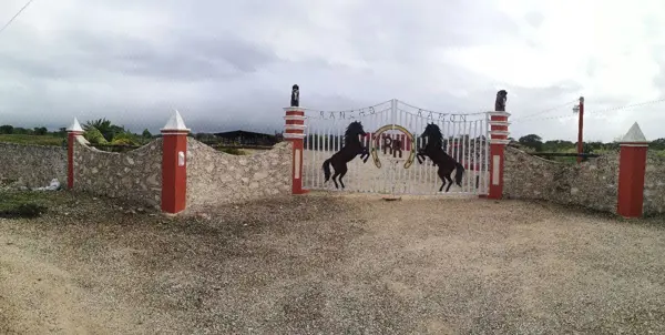 Rancho en Zona Ganadera de 17 Has, Cercano a Temax, Yucatán. — foto 1 de 13